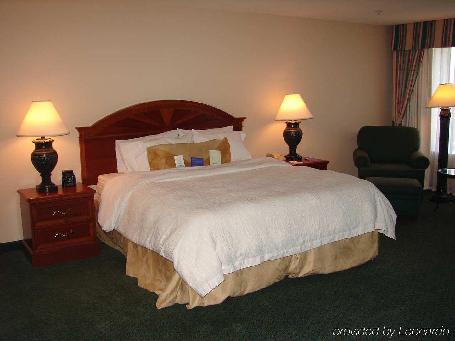 Hilton Garden Inn Baton Rouge Airport Ruang foto